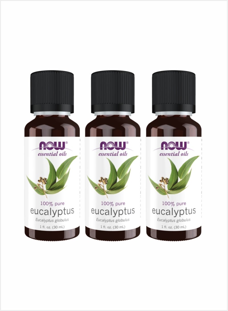 NOW Eucalyptus Essential Oil - Pure Invigorating Aromatherapy, 30ml (Pack of 3)