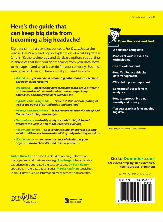 Big Data for Dummies (For Dummies) - Image 2