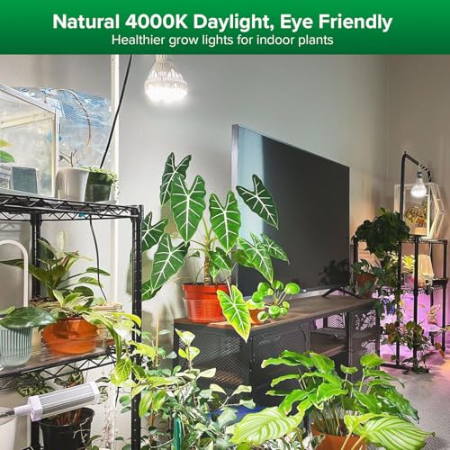 SANSI Grow Lights for Indoor Plants Full Spectrum, 36W Grow Light Bulb (400 Watt Equivalent) with Optical Lens for High PPFD, PPF 65.6 umol/s LED Energy Saving Plant Light Bulb for Seeding and Growing - Image 2