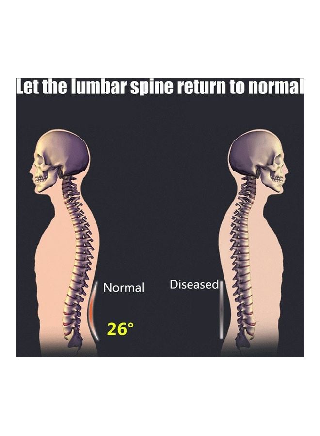 Loquat Back Massager Stretcher 40x25x3cm - Image 3