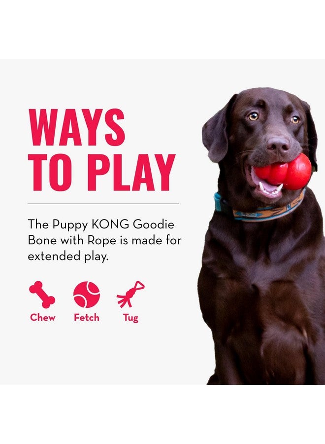 كونج عظمة كونغ للجراء مع حبل - عظمة مطاطية طبيعية مع حبل قطني - لعبة مضغ لتنظيف الأسنان للجراء النامية - مناسبة للجراء بمقاس XS - وردي - Image 4
