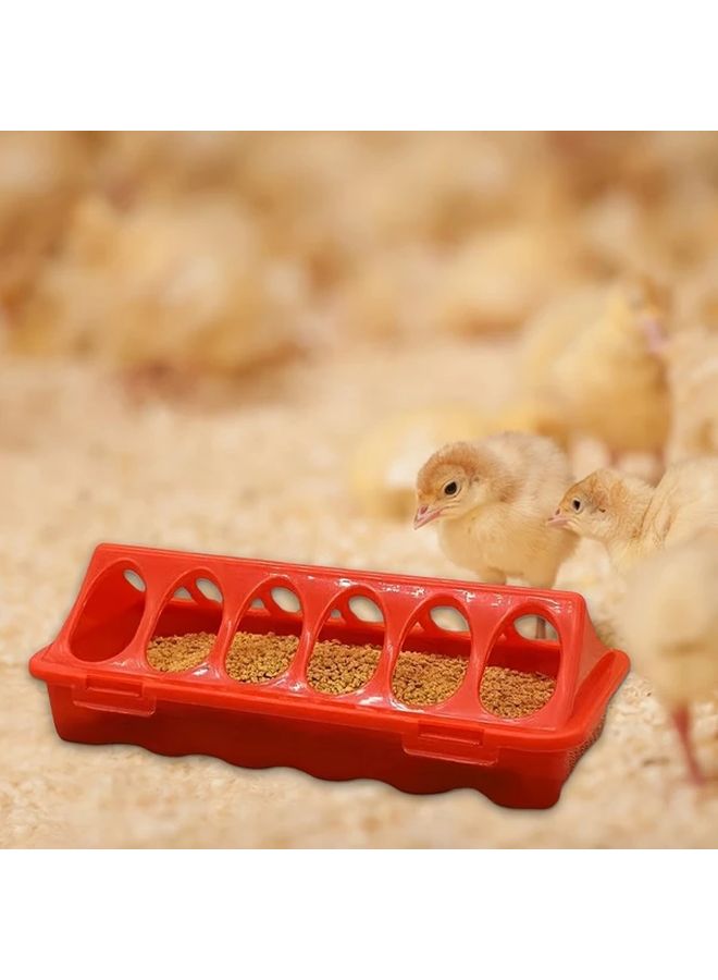 طقم مغذي السمان والدجاج الأحمر 2 في 1 مع صينية مضادة للهدر وموزع مياه تلقائي - Image 2