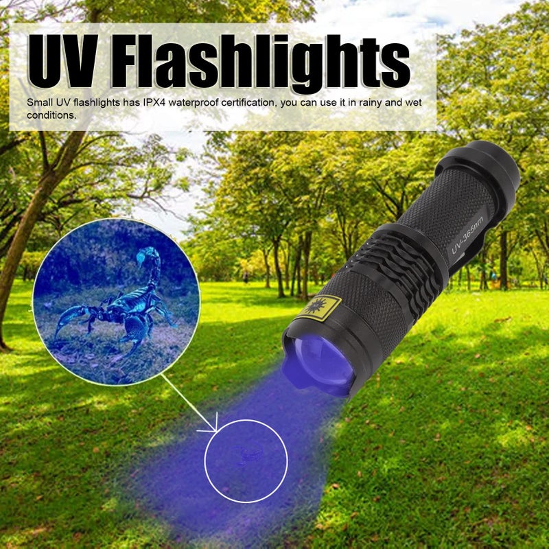Aluminum 365nm UV Flashlight For Pet Urine Detection Battery Powered Impact Resistant - Image 3