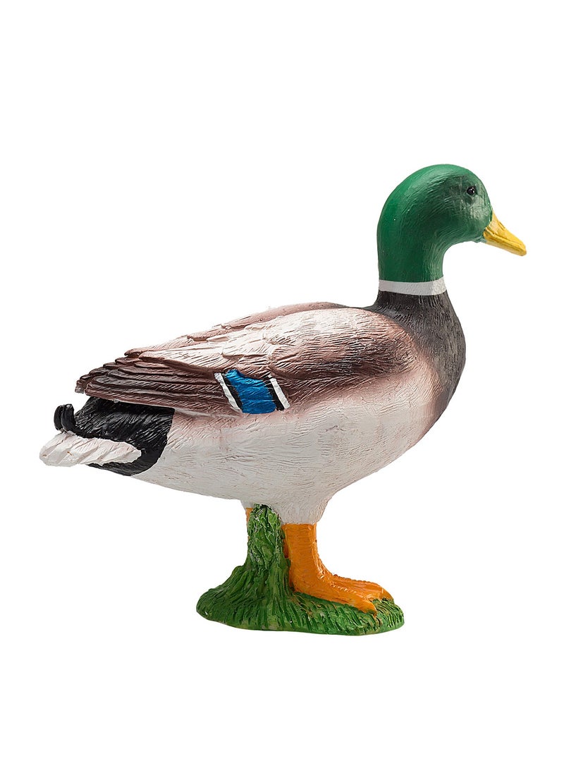 Mojo Wild Duck