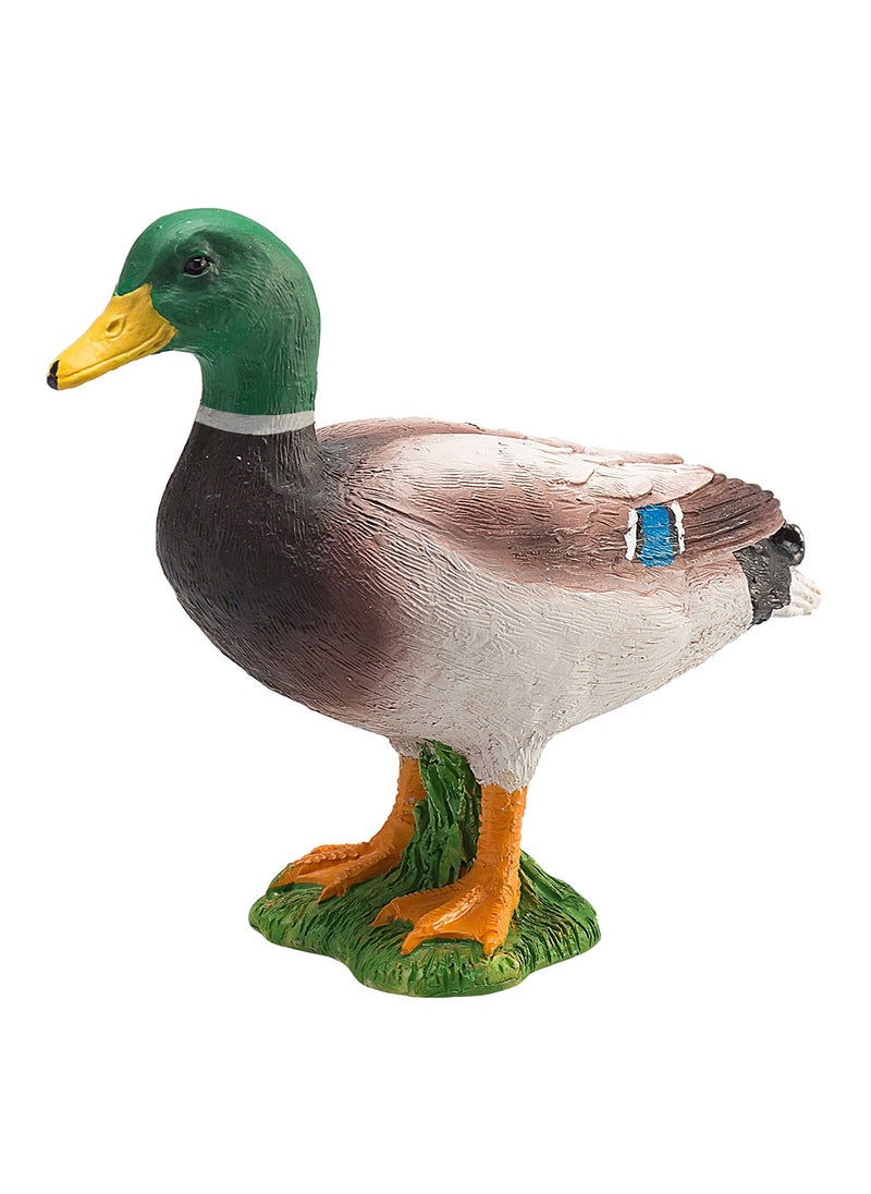 Mojo Wild Duck