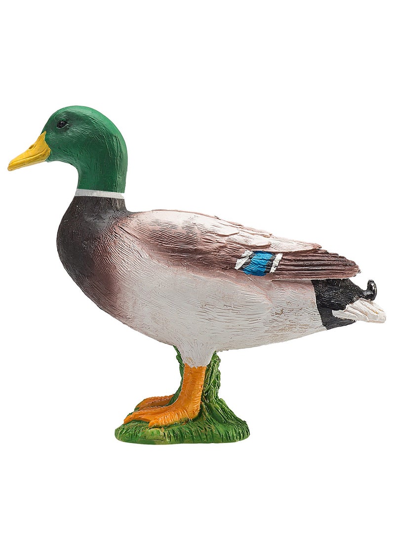 Mojo Wild Duck