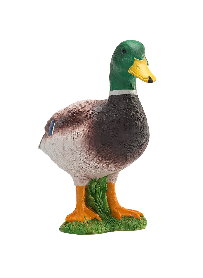 Mojo Wild Duck