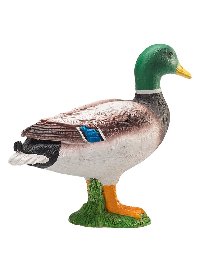 Mojo Wild Duck