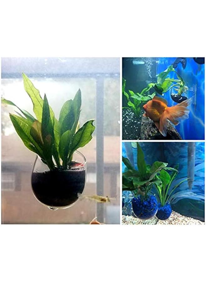 Aquarium Plant Holder 2 Pieces Suction Cup Glass Plant Pots for Fish Tank - Image 4