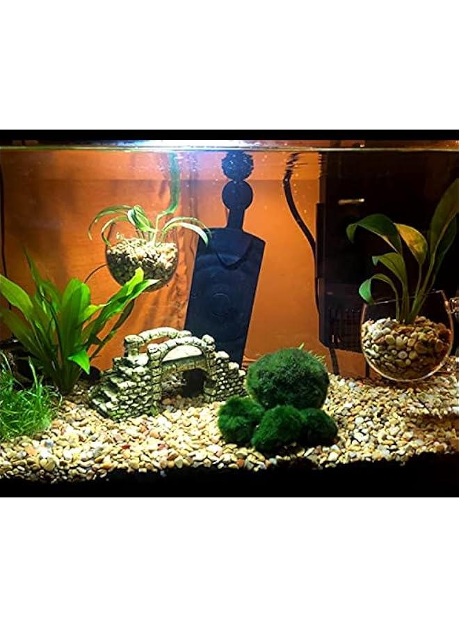 Aquarium Plant Holder 2 Pieces Suction Cup Glass Plant Pots for Fish Tank - Image 3