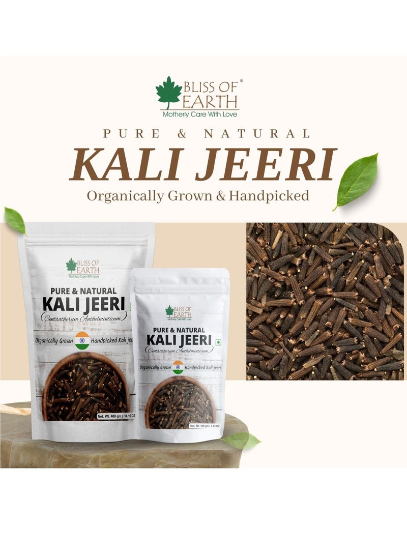 BLISS OF EARTH 2X400gm Kali Jeeri Bitter Cumin Kadwa Jeera Black Cumin Fresh & Organic Good for Health  - Image 2