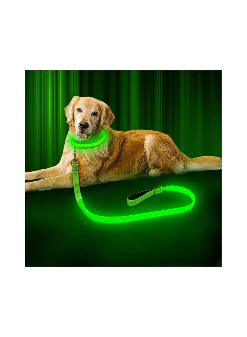 USB Rechargeable Nylon Webbing Glow Safety Light Up Pet Leashes LED Dog Leash for Dog - Image 1
