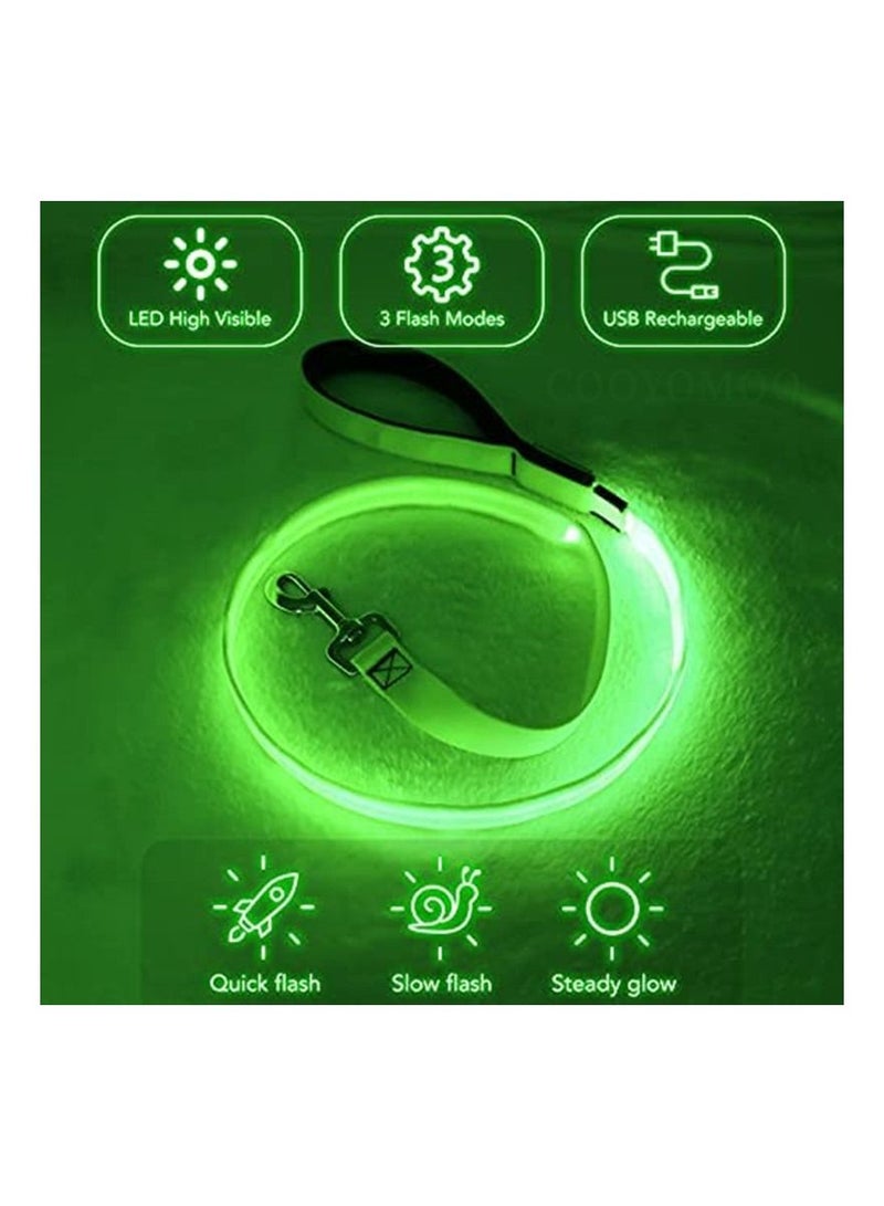USB Rechargeable Nylon Webbing Glow Safety Light Up Pet Leashes LED Dog Leash for Dog - Image 4