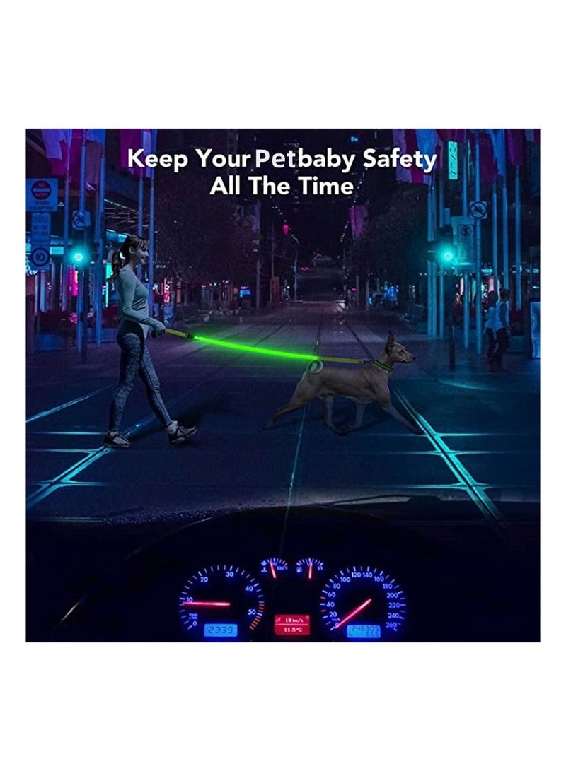 USB Rechargeable Nylon Webbing Glow Safety Light Up Pet Leashes LED Dog Leash for Dog - Image 5