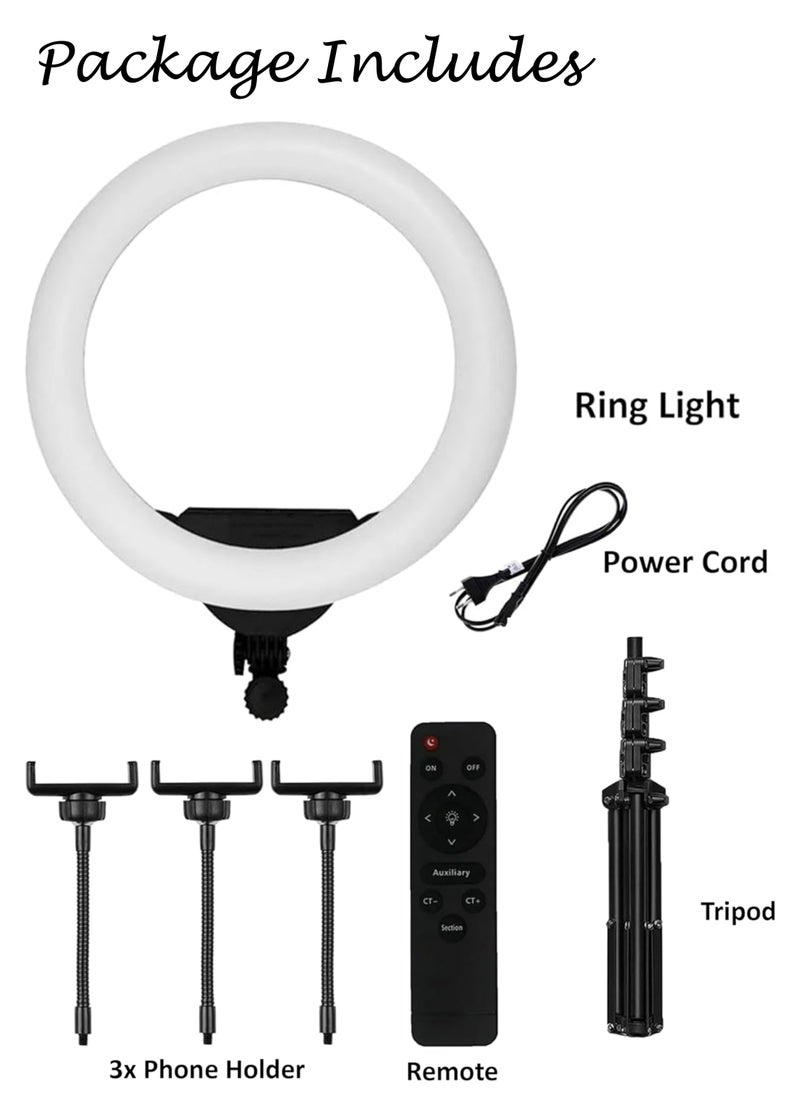 18 inch Dimmable Circle LED Studio Selfie Ring Light With 2.1 Meter Tripod Stand Remote And 3 Mobile Phone Holders For Makeup Camera Photography YouTube Video Shoot TikTok Vlog Live Stream Compatible - pzsku/ZFEE4958EF047D4962125Z/45/_/1738503332/50c9a716-6f9c-4ca8-923b-aa05e39eec75