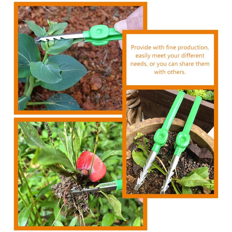 Stainless Steel Portable Garden Tweezer Tool for Bonsai Succulent Weeding and Plant Shaping - Image 5