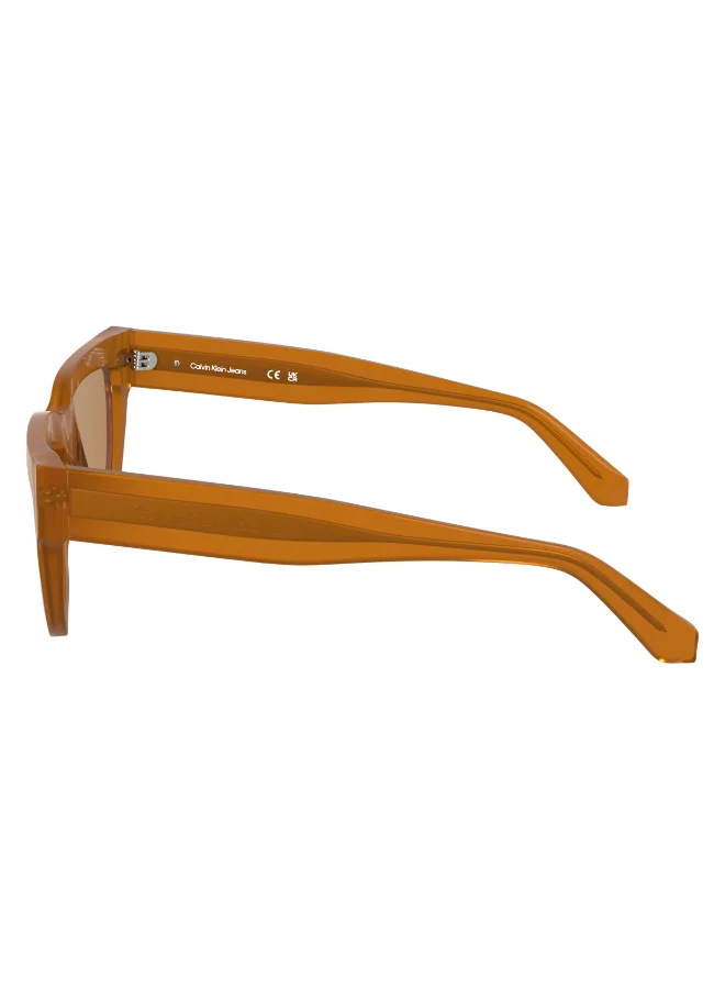 Calvin Klein Jeans FULL RIM ACETATE CALVIN KLEIN JEANS SUN CKJ25600S