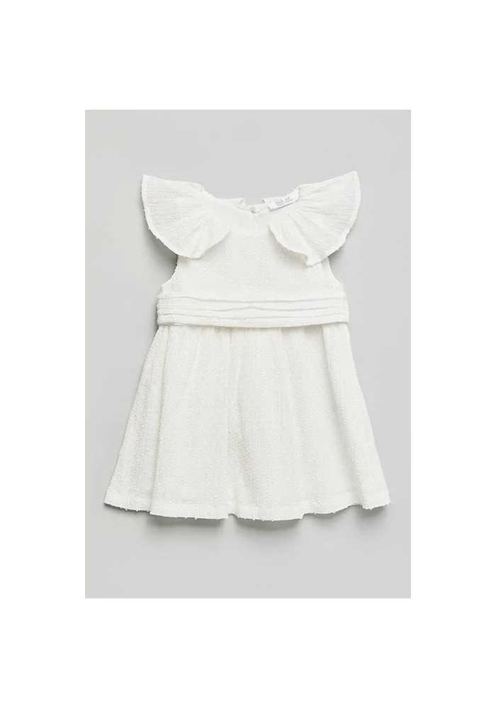 R&b Solid Sleeveless Fit & Flare Dress with Collared Neck