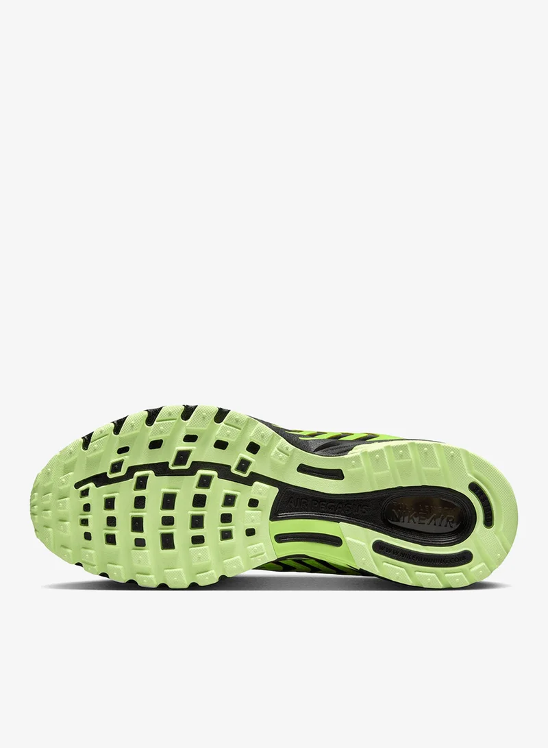 Nike Air Pegasus 2005