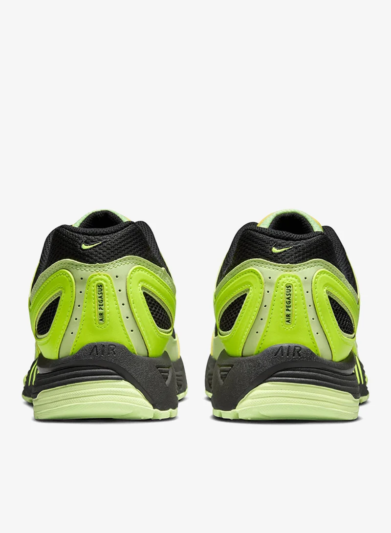 Nike Air Pegasus 2005