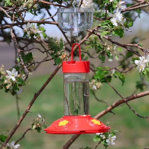 Songbird Essentials Nectar Protector Junior, Bird Feeder Protection, Clear - Image 5