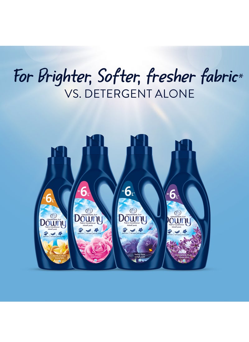 Downy - Fabric Conditioner Concentrate Lavender And Musk Variant 2L ≡ 6L - Image 1