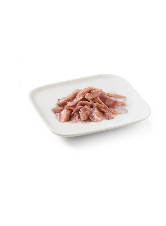 شيسر طعام شيسير الرطب للكلاب في الجيلي – تونة 150 جم [الحد الأدنى للطلب: 10 قطع] - Image 2