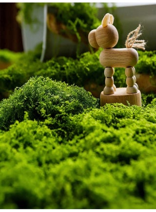 Artificial Moss 100g, Fake Moss Grass for Plants, Stretchy Breathable Faux Moss for Potted Plant Decor, DIY Craft Gardening, Home & Kitchen Decoration (Light Green) - view 4