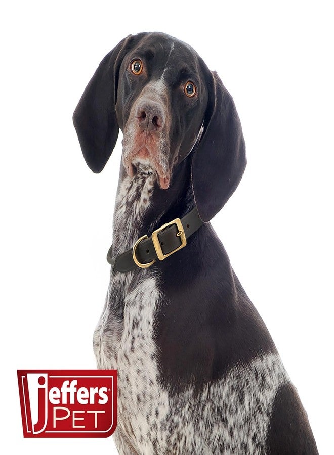 Jeffers Rolled Leather Dog Collar with Brass Hardware, Chestnut Brown - Safe Leather Design, Durable Brass Hardware, Adjustable Round Collar for Long Fur Dogs, Pairs with Leash, 3/4" W x 15" L - Image 2