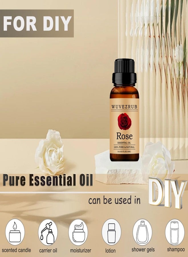 زيت الورد العطري من ووفيزروب، 10 مل، زيت عطري نقي وطبيعي 100% لموزع الروائح العلاجية - 0.33 أونصة سائلة/وردة - Image 3