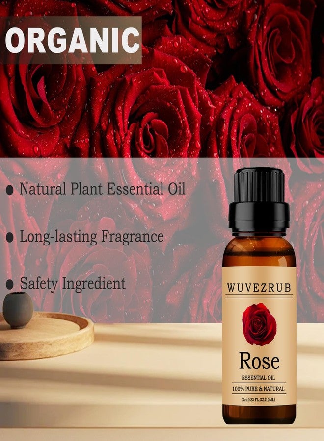 زيت الورد العطري من ووفيزروب، 10 مل، زيت عطري نقي وطبيعي 100% لموزع الروائح العلاجية - 0.33 أونصة سائلة/وردة - Image 4
