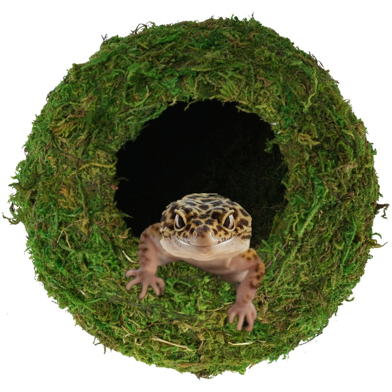 USMOLA Mossy Caves, Artificial Green Moss Caves Hide for Pet Reptile Frogs and Snakes, Terrarium & Vivarium Decor, Crested Gecko Tank Decor (6" - Woodland Green) - Image 2