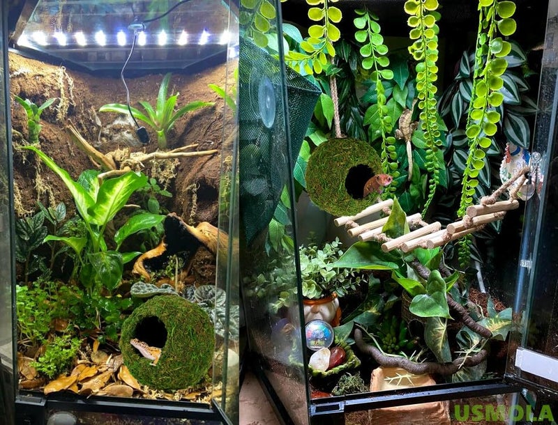 USMOLA Mossy Caves, Artificial Green Moss Caves Hide for Pet Reptile Frogs and Snakes, Terrarium & Vivarium Decor, Crested Gecko Tank Decor (6" - Woodland Green) - Image 4