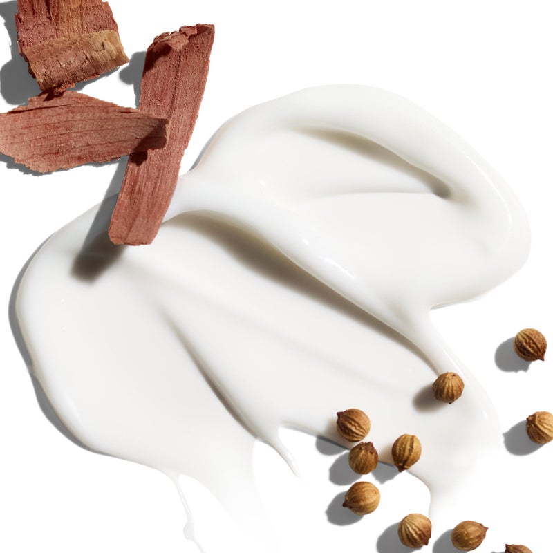 Jack Black - Black Reserve Hydrating Body Lotion With Cardamom & Cedarwood, 12 oz. - Image 2