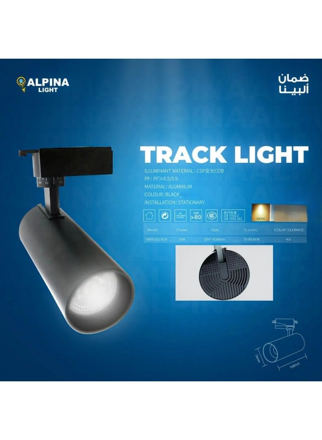 Track light 30 watt body black