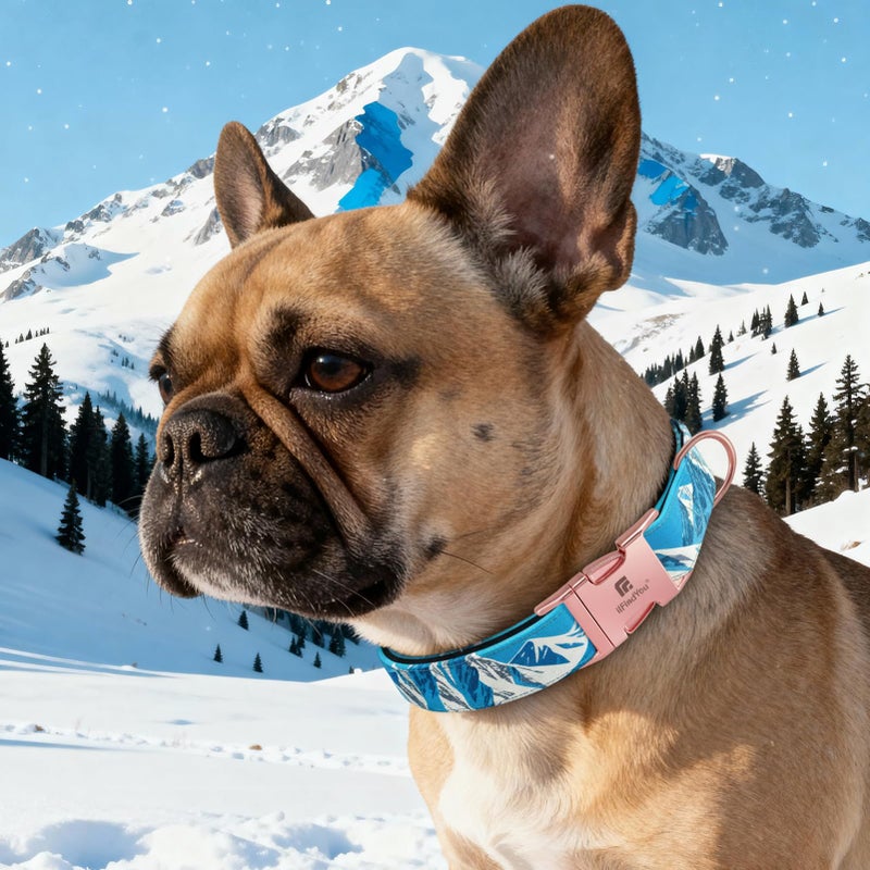 ilFindYou Designer Dog Collar for Large Dogs, Rocky Mountains Pattern, Heavyweight Polyester Adjustable Collars with Secure Metal Buckleï¼ŒSuitable for Female Dogs L - Image 5