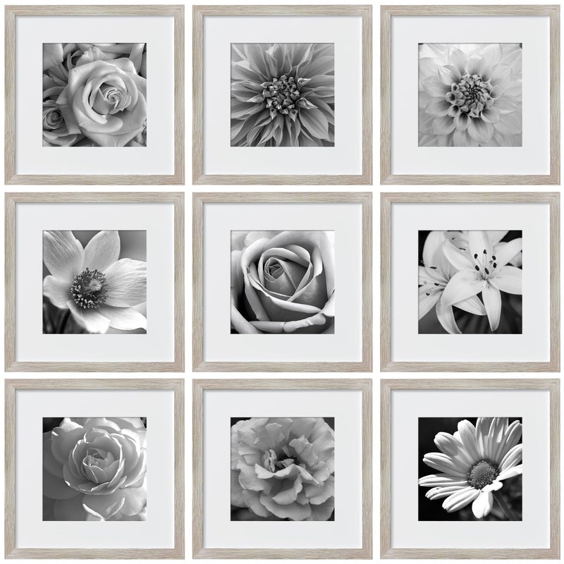 eletecpro 12x12 Picture Frames Set of 9 with Mat for 8x8 Photos or without Mat for 12x12, Square Gallery Wall Decor Collage for Picture Display, Beige Drift Wood Frame Set for Wall Hanging - Image 1