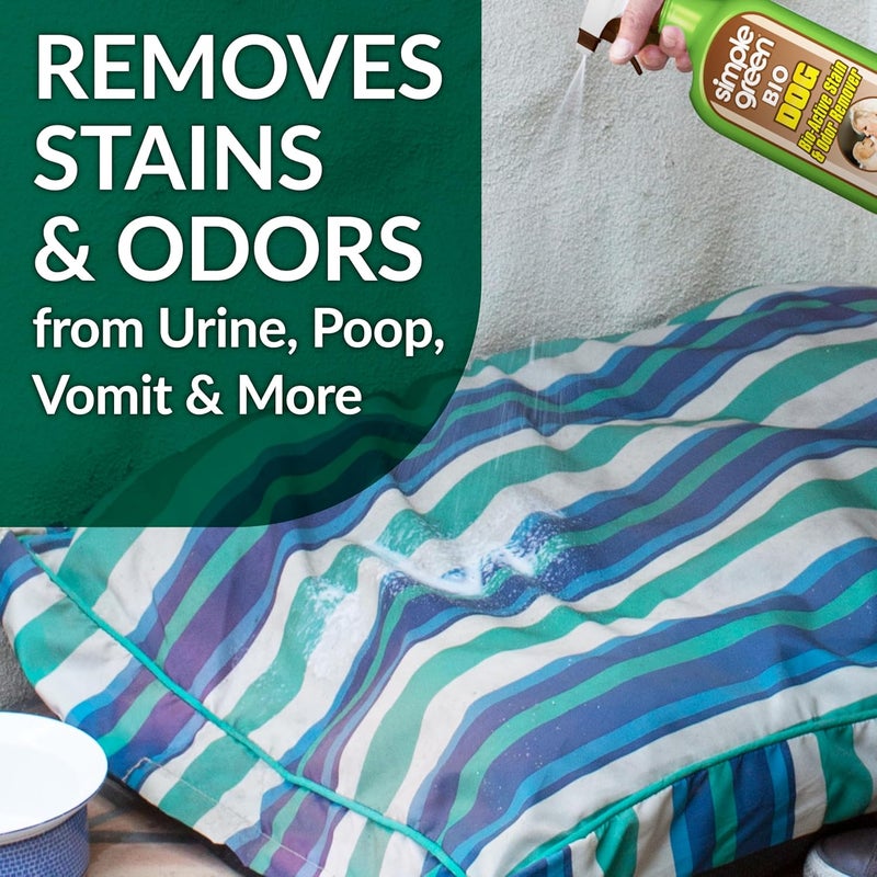 simple green Bio Active Stain & Odor Remover for Pet & Carpet- Pet & People Safe - 32oz Spray - Image 1