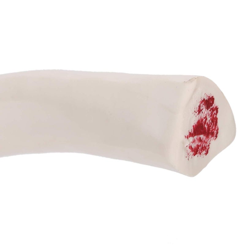 Life Size Elbow Joint Skeleton Model For Anatomy Study And Display - Image 5