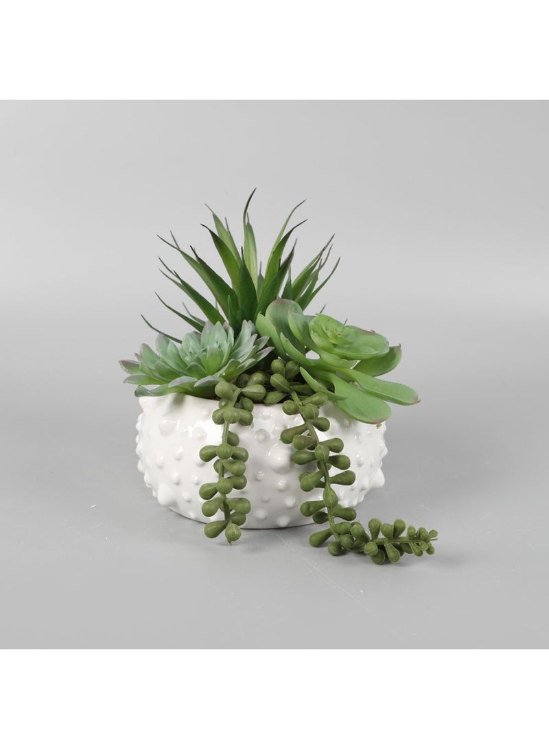DANUBE HOME Daisy Ceramic & Fabric Succulent in Pot – Stylish Artificial Plant Arrangement with Realistic Greenery, Perfect for Home Decor, Office Desk, Table Centerpieces & Modern Gifting L17.78 X W17.78 X H17.78Cm