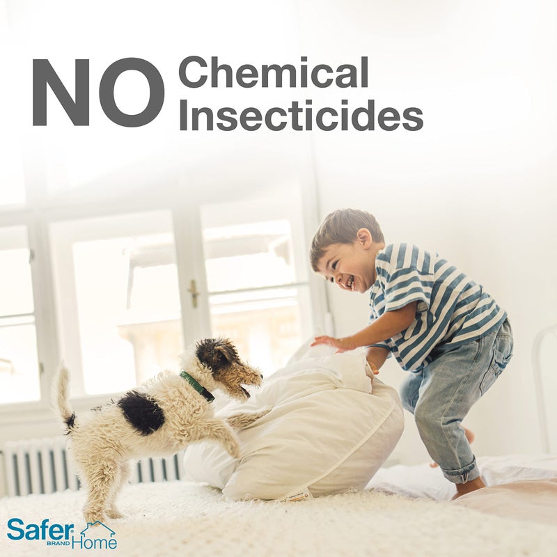 Safer Brand Safer Home SH400 Indoor Spider, Ant, Cockroach, Centipede, and Crawling Insect 4 Traps, Blue - Image 4