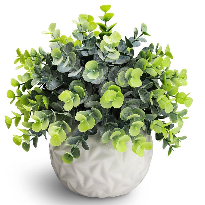 FAKE PLANTS INDOOR SMALL ARTIFICIAL EUCALYPTUS PLANTS IN WHITE POTS FOR BEDROOM HOME DECOR FAUX PLANTS DECOR