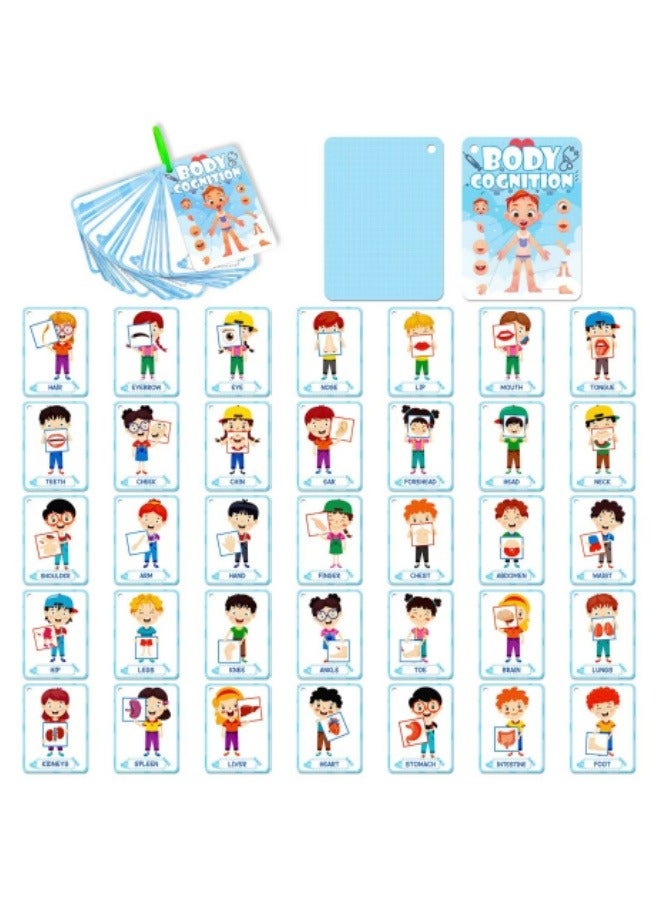 36PCS Body Recognition Cards Children's Enlightenment Education Puzzle Cognitive Cards Flash Cards - Image 1