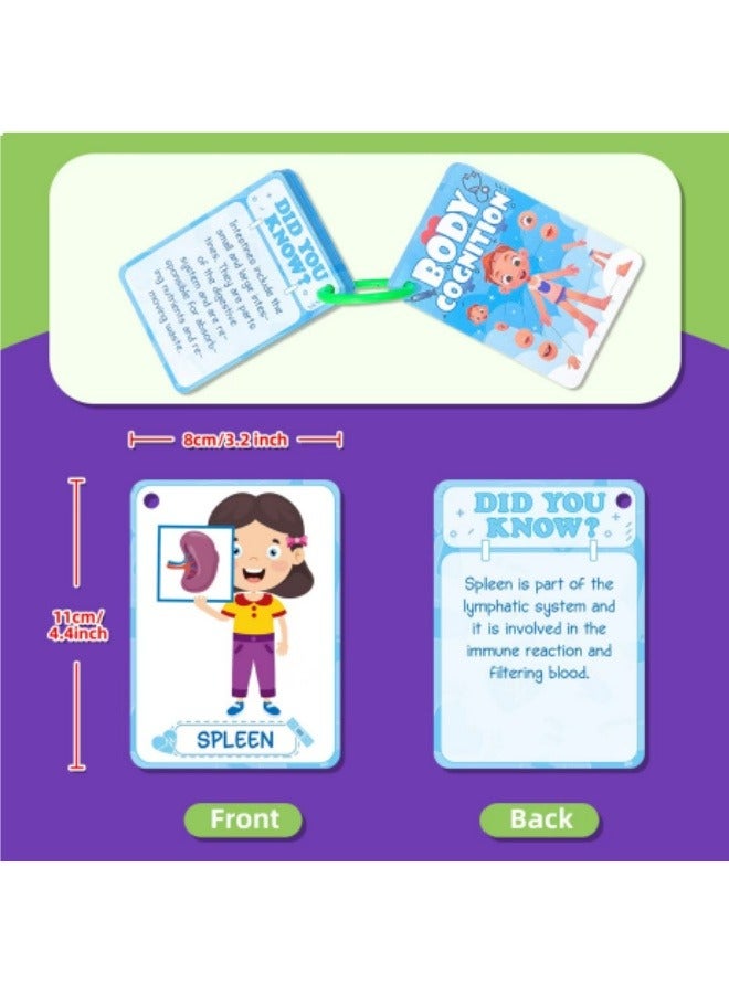 36PCS Body Recognition Cards Children's Enlightenment Education Puzzle Cognitive Cards Flash Cards - Image 2