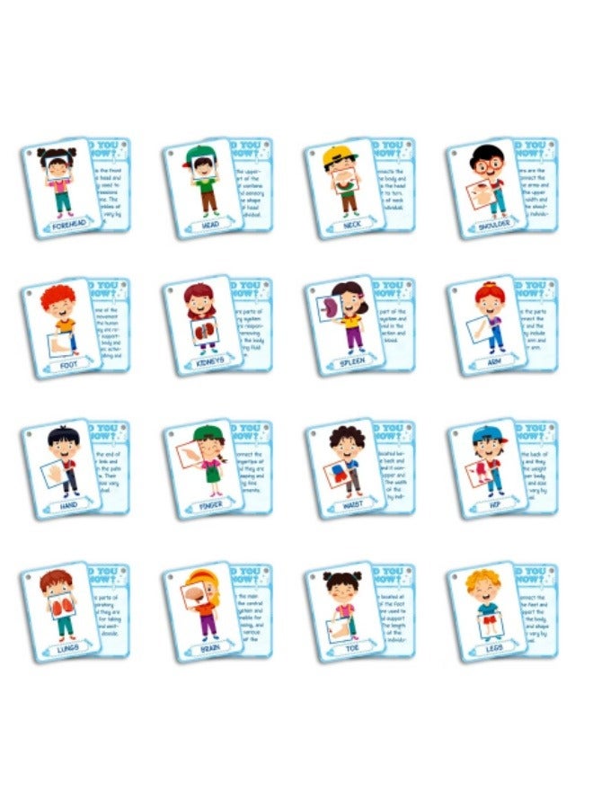 36PCS Body Recognition Cards Children's Enlightenment Education Puzzle Cognitive Cards Flash Cards - Image 4