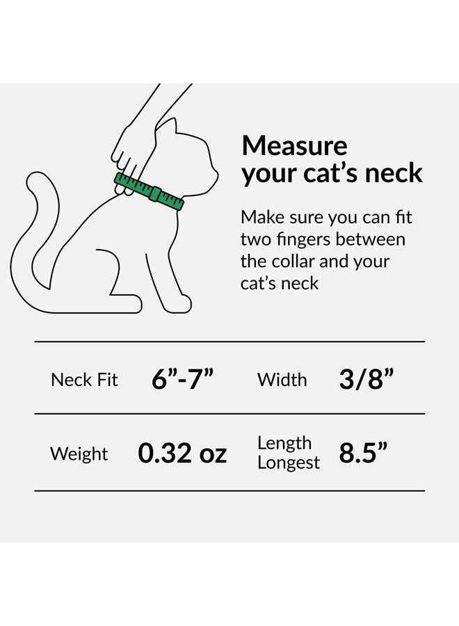 CollarDirect Leather Cat Collar, Kitten Collar with Removable Bell Black Blue Red Orange Lime Green (6-7 Inch, Purple) - Image 2