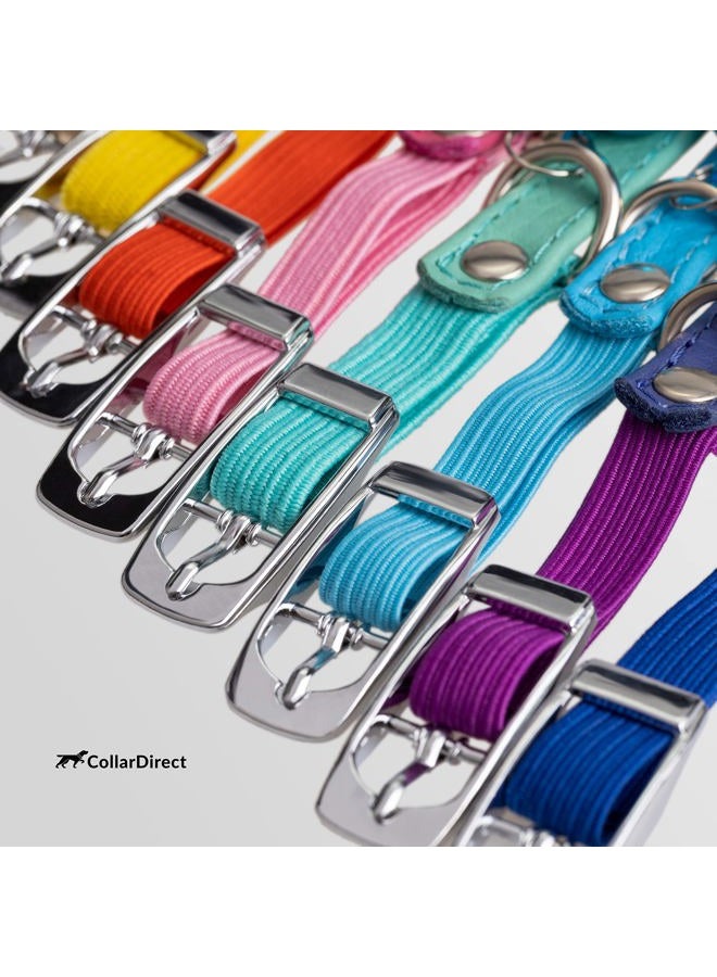 CollarDirect Leather Cat Collar, Kitten Collar with Removable Bell Black Blue Red Orange Lime Green (6-7 Inch, Purple) - Image 5