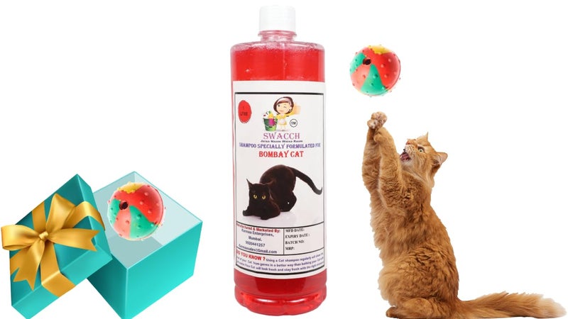 swacch Bombay Cat Shampoo + Rubber Musical Ball I Chew Playing Rubber Ball I Interactive Cat Toy Balls I Training & Play I Combo Pack I 1 Litre Jasmine - Image 1