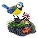 Tipmant Cute Electronic Birds Toys Pets Simulation Realistic Move Chirp Electric Office Home Desk Decor Decoration Kids Birthday Gifts Blue Yellow - Image 2