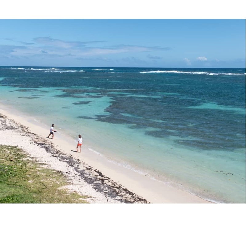 DECATHLON قرص فريسبي طائر غير قابل للكسر للأطفال والبالغين للعب في الداخل/الخارج، الشواطئ، الملعب (D90 أزرق) - Image 4